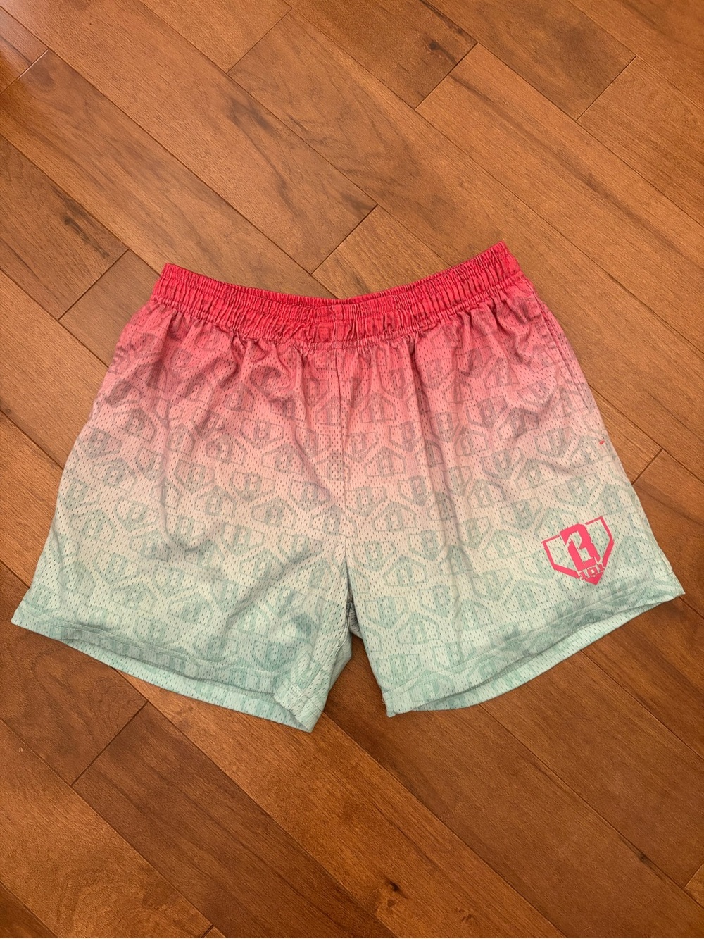 Men's Ombre Pink-to-Mint Athletic Shorts with Logo
